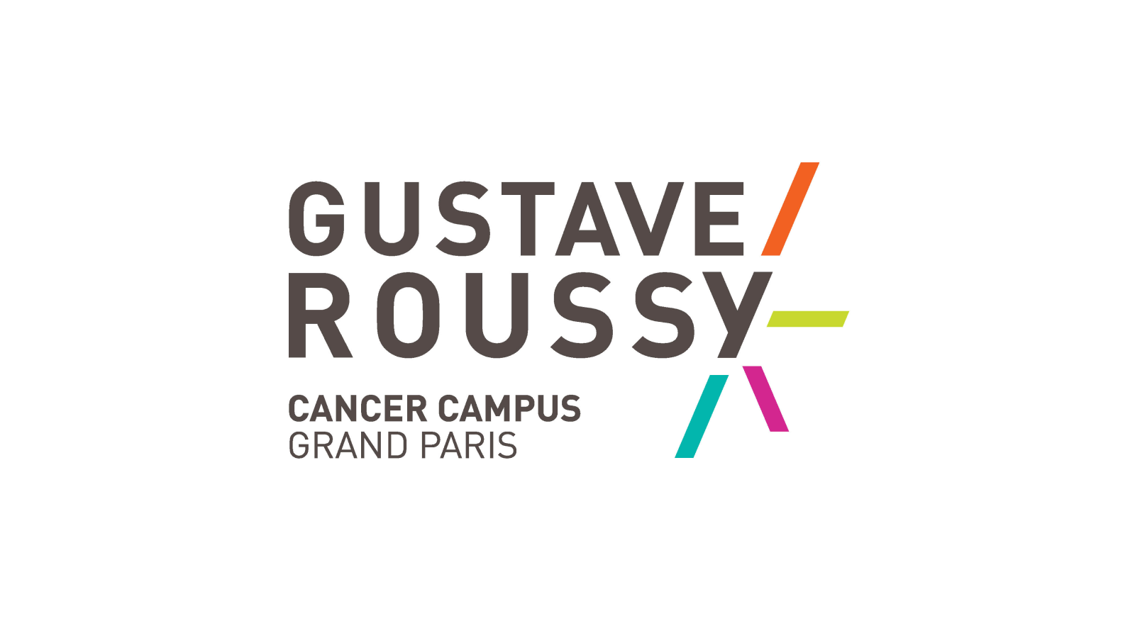 Logo Gustave Roussy-1